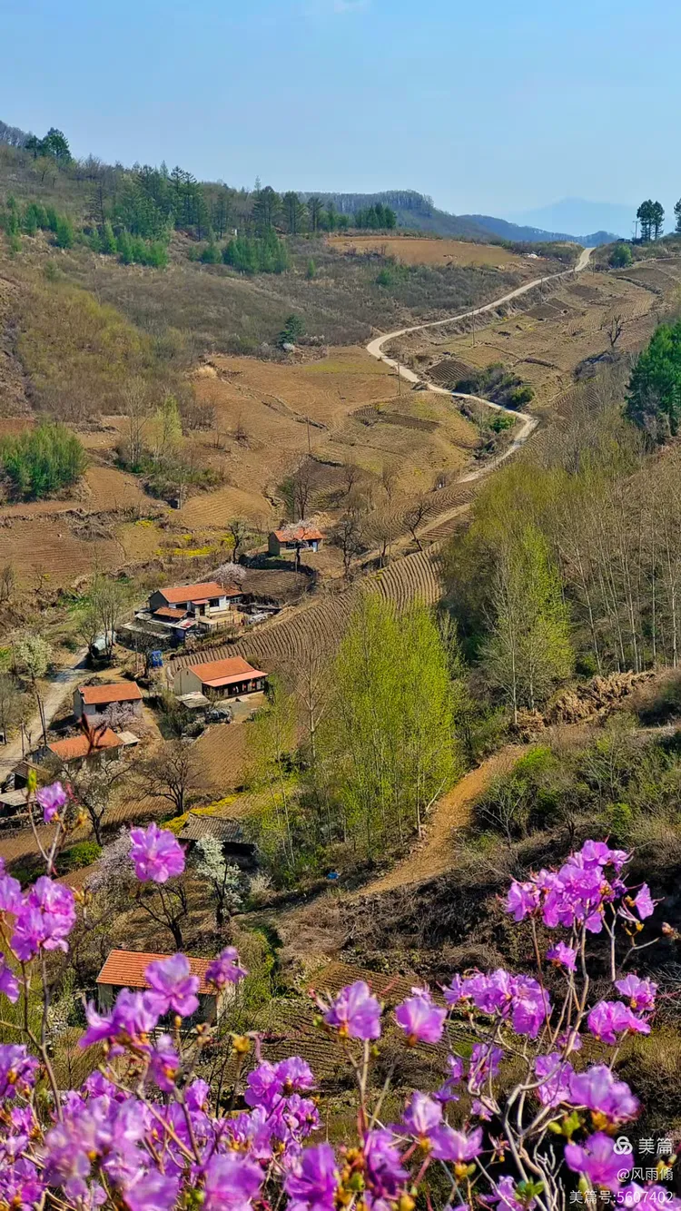 辽阳梨花峪的春天
